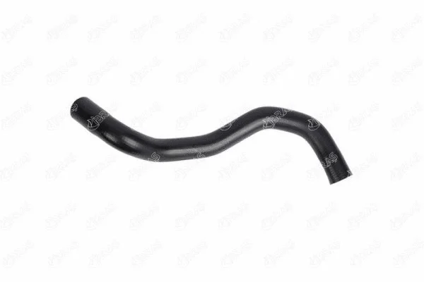 Radiator Hose (11716)