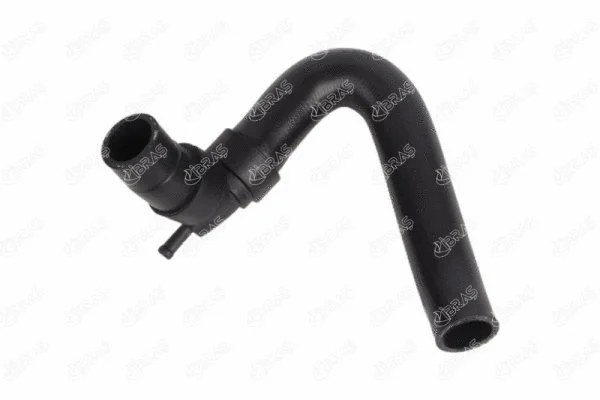 Radiator Hose (31521)