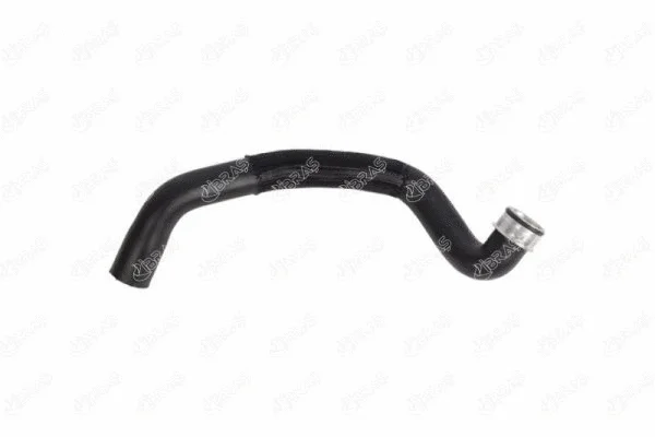 Radiator Hose (33537)
