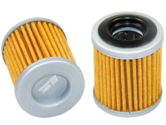 Hydraulic Filter, automatic transmission (SHB 60924)