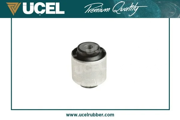 Mounting, control/trailing arm