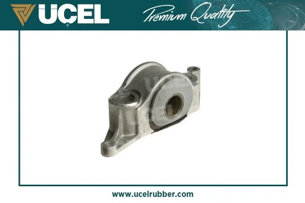 Mounting, control/trailing arm