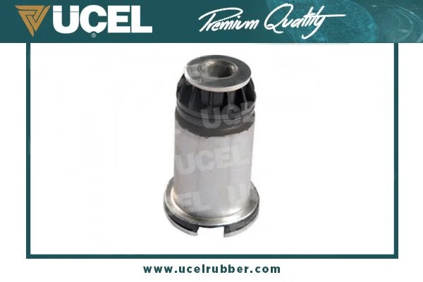 Bushing, axle beam (10818)