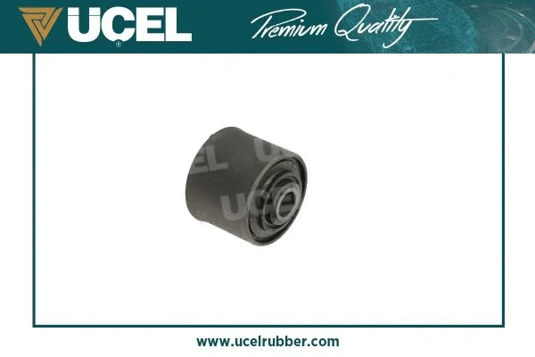 Mounting, control/trailing arm