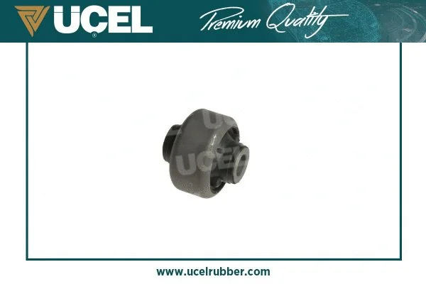 Mounting, control/trailing arm