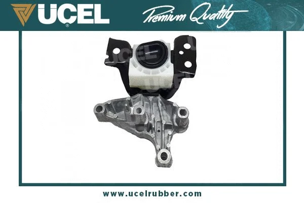 Mounting, engine