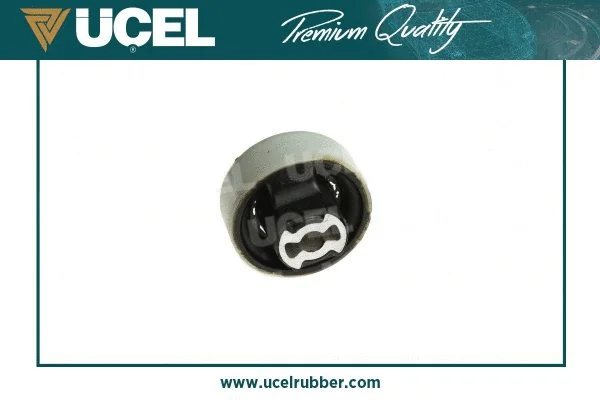 Mounting, control/trailing arm