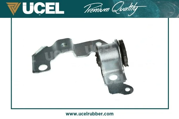 Mounting, control/trailing arm