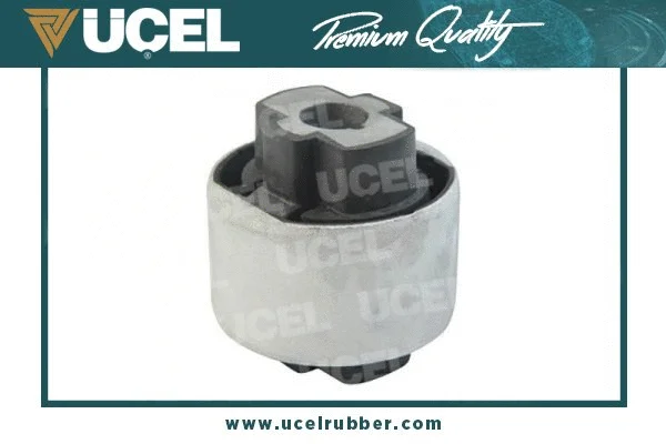 Mounting, control/trailing arm (31221)