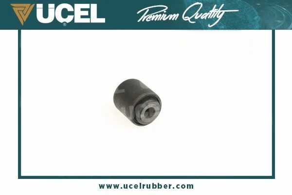 Mounting, control/trailing arm