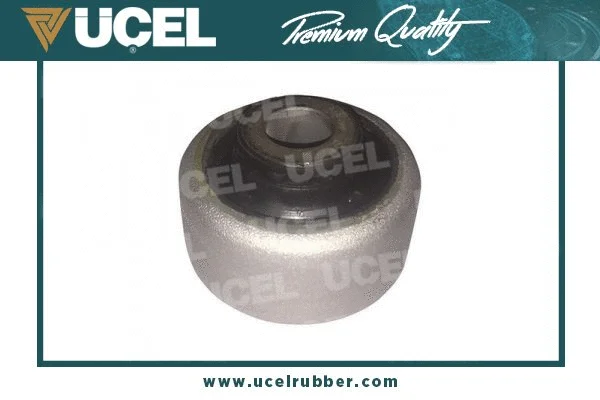 Mounting, control/trailing arm (41725)
