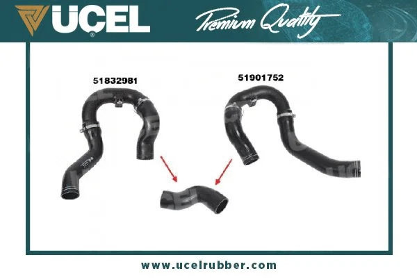 Charge Air Hose (35655)