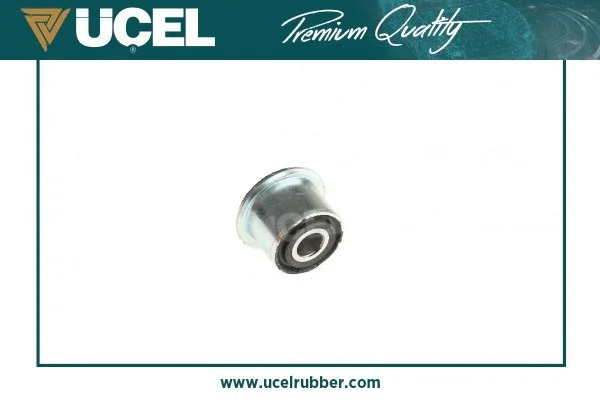 Mounting, control/trailing arm