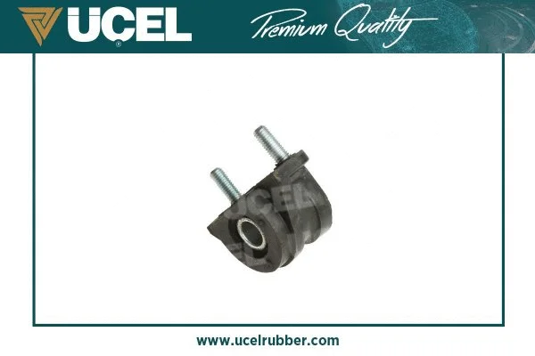 Mounting, control/trailing arm