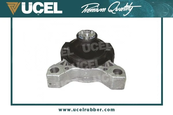 Mounting, engine (20312)