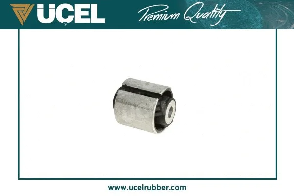 Mounting, control/trailing arm