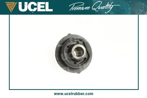Mounting, control/trailing arm
