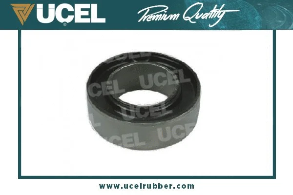 Bushing, axle beam (10702)