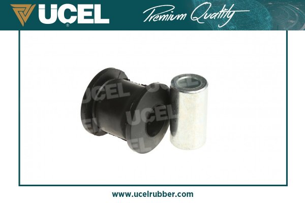 Mounting, control/trailing arm