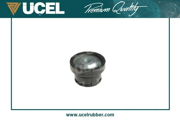 Mounting, control/trailing arm