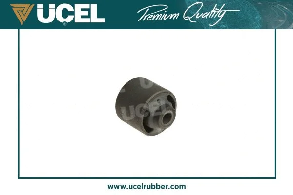 Mounting, control/trailing arm