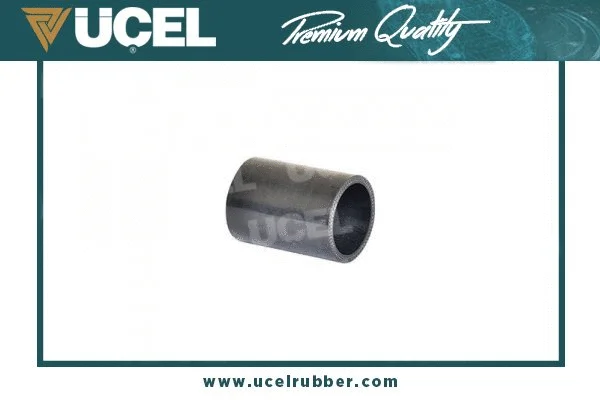 Charge Air Hose (15956)