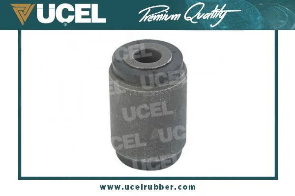 Mounting, control/trailing arm (31520)