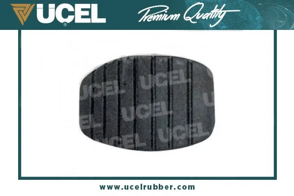 Brake Pedal (10698)