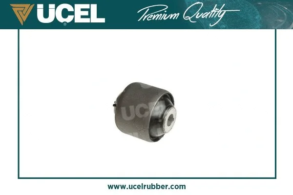 Mounting, control/trailing arm