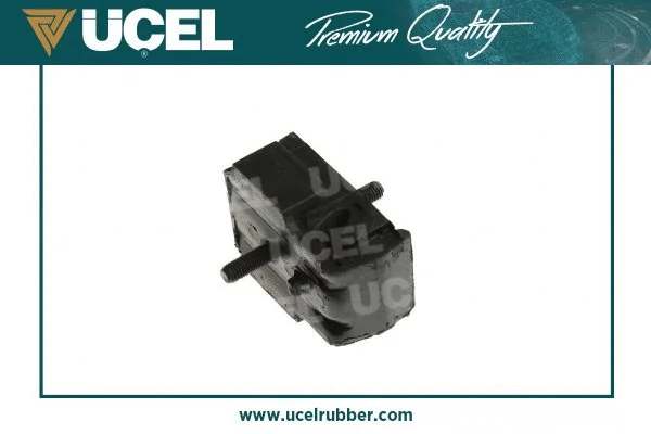 Mounting, engine