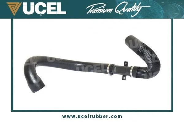 Charge Air Hose (52439)