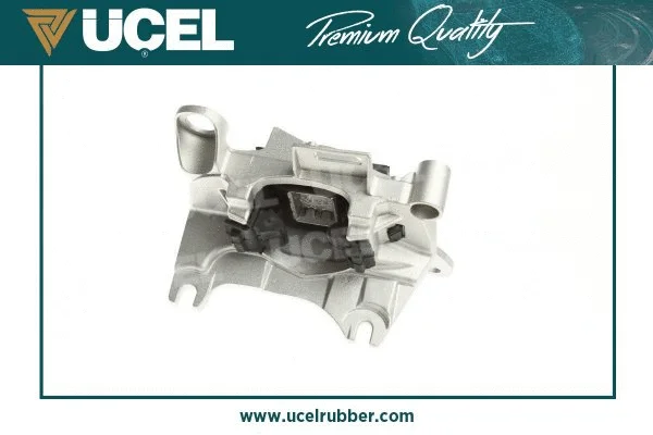 Mounting, engine