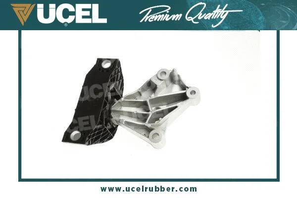 Mounting, engine