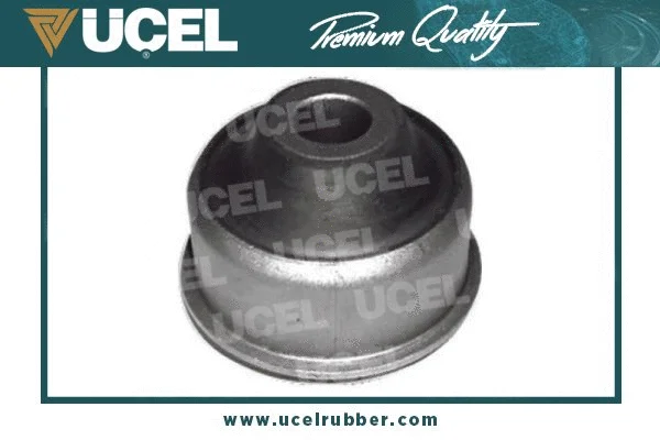 Mounting, control/trailing arm (41545)
