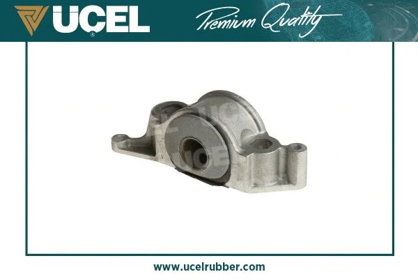 Mounting, control/trailing arm