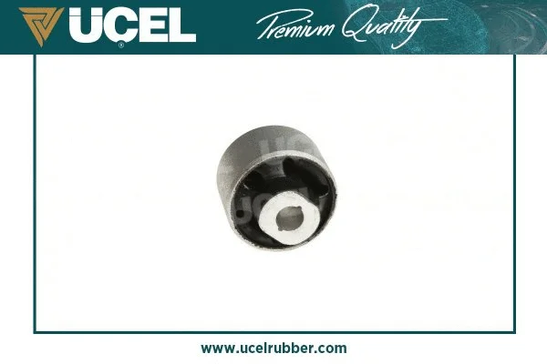 Mounting, control/trailing arm