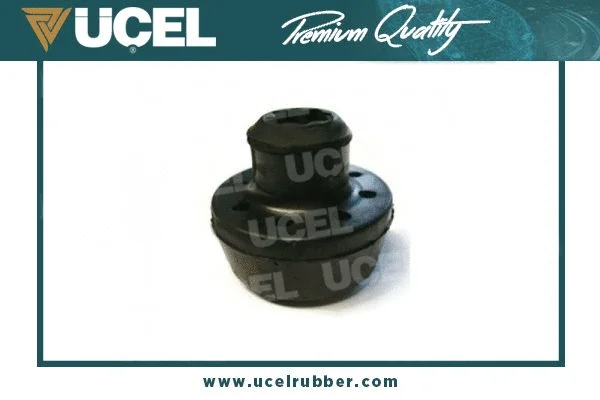 Mounting, radiator (10628)