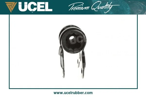 Mounting, control/trailing arm