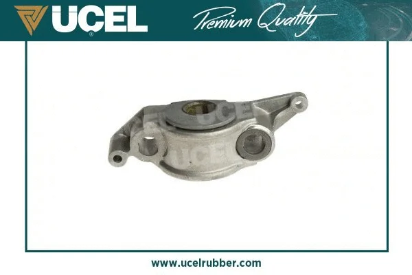 Mounting, control/trailing arm