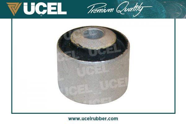 Mounting, control/trailing arm (76130)