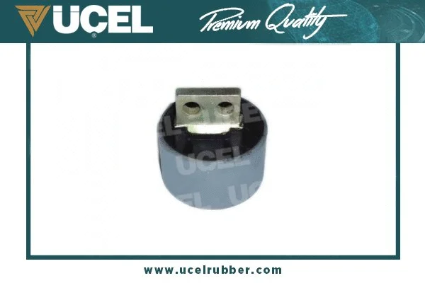 Mounting, engine (20113)