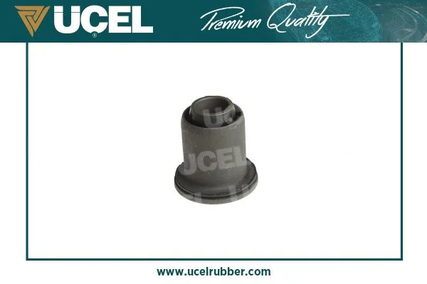 Mounting, control/trailing arm
