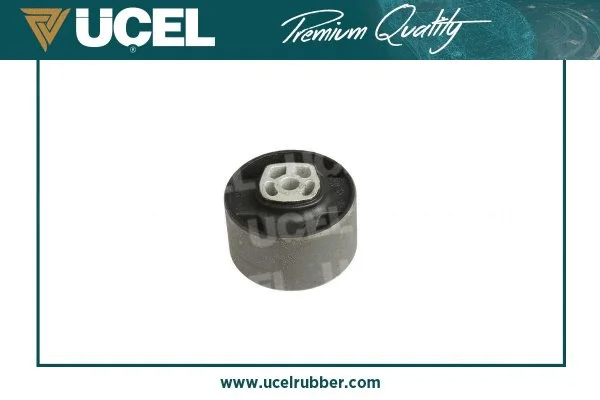 Holder, engine mounting system