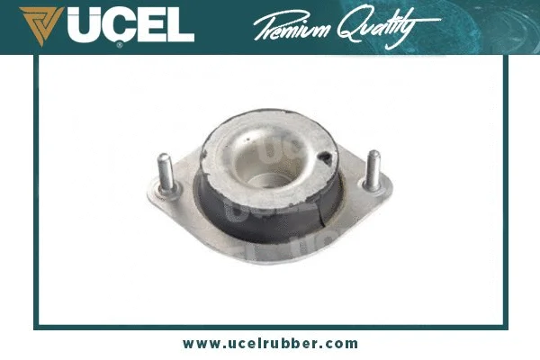 Mounting, engine (10477)