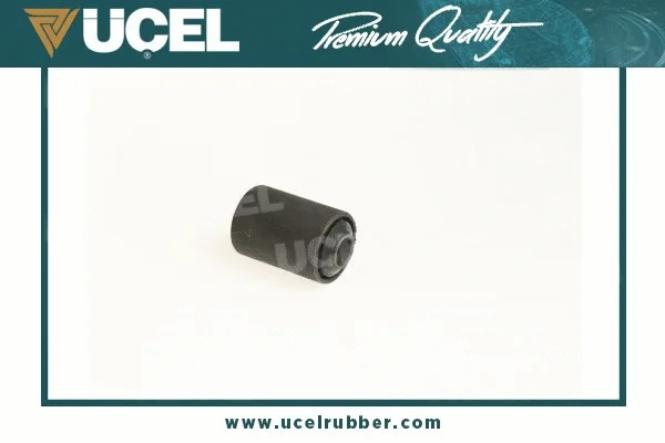Mounting, control/trailing arm