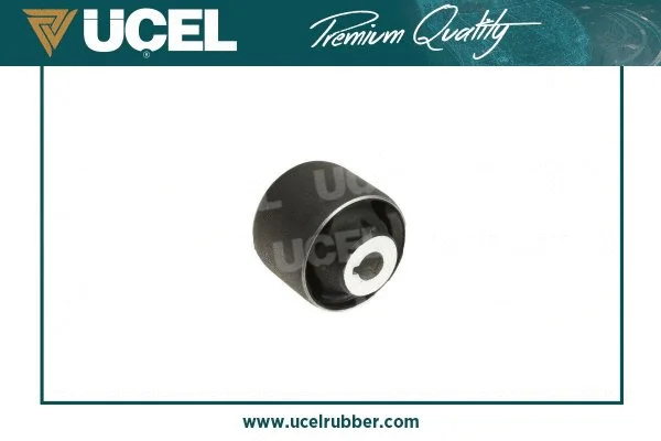 Mounting, control/trailing arm