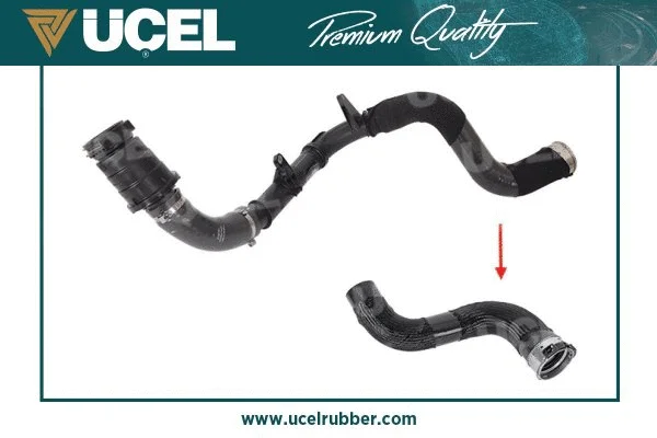 Charge Air Hose (16033)