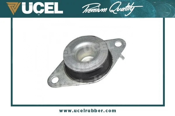 Mounting, engine (10804)