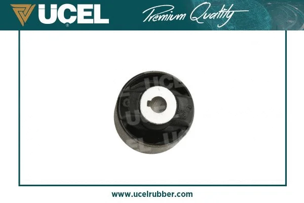Mounting, control/trailing arm