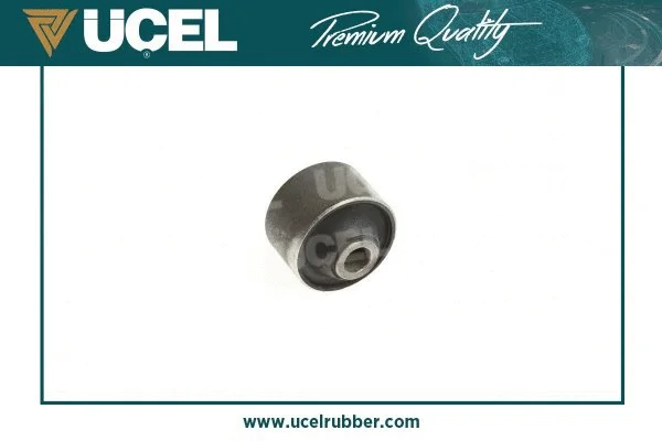 Mounting, control/trailing arm